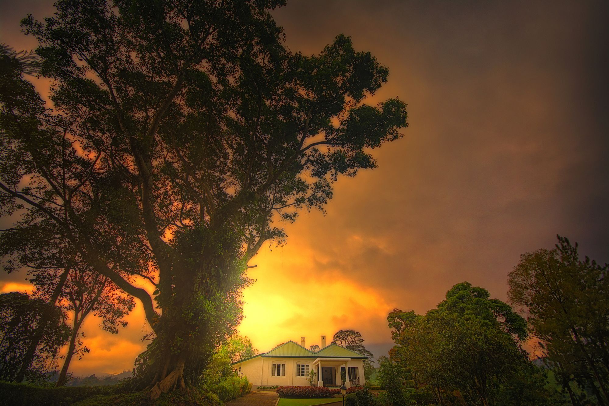 Craig Appin Bungalow Dickoya Exterior foto